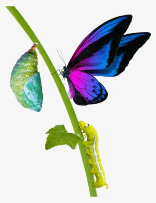 Business Transformation #6751774