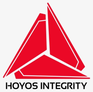 Hoyos Vsn Logo White #6751948