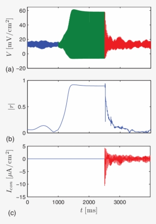 Dynamics Of An Ensemble Of N = 100 Hodgkin-huxley Neurons #6754864 Dynamics Of An Ensemble Of N = 100 Hodgkin-huxley Neurons #6754864
