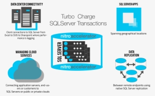 Nitrodia@2x #6755534