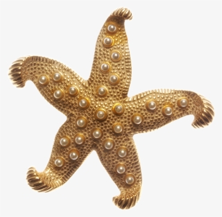 Medicinska Sestra Sanela Diana Jenkins Foundation For #6758549