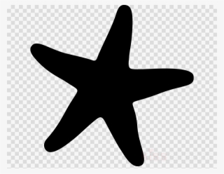 Sea Star Icon Clipart Starfish Computer Icons Clip #6758847
