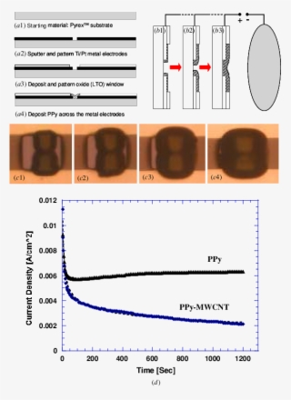 A) And (b) Outline The Sensor Fabrication Processes. #6760067