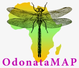 [inmage Size Reduced] #6769235