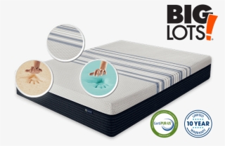 Big Lots Logo Png #6770173