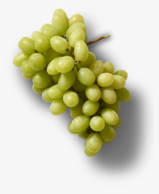 Green Grapes #6778111