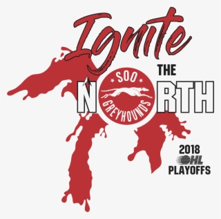 Soo Greyhounds On Twitter #6781759