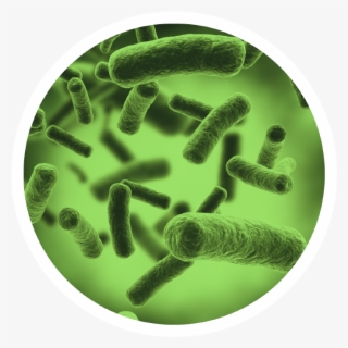 Ensuring Environmental Safety #6783129