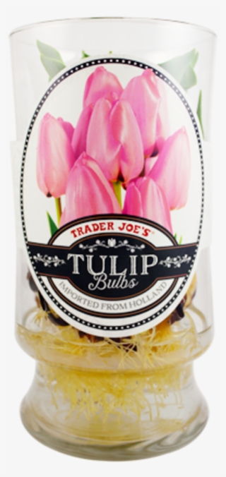 Get This And Hundreds Of Other Trader Joe's Favorites #6784761