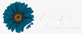 Aster Hair Studio #6795944