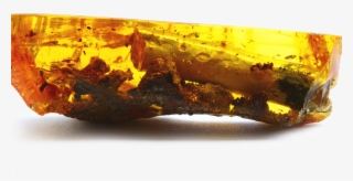 Both Are 100% Amber With No Additives #6798625