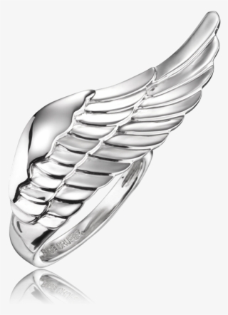 Ring Wing Err-wing #6798902