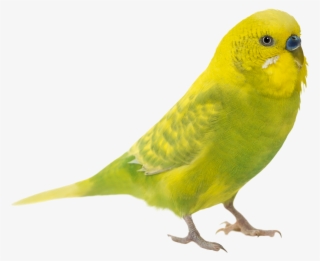 Go To Image #6799920