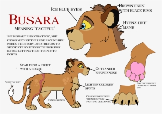 Busara Ref Sheet #6799976