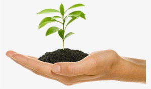 Business Growth Is The Goal Of Every Business Owner - Plant Growth In Hand #680787