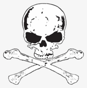 Skull Bones Transparent - Skull #681335