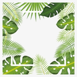 Tropical Leaves Frame Background - Tropical Leaf Frame Png #681837
