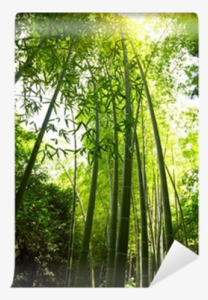 Poster #681941 Poster #681941