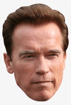 Terminator Vector Arnold - Arnold Schwarzenegger Face Mask #683394