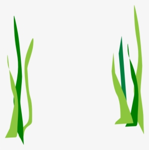 Green Reeds Clip Art At Clker - Transparent Background Seaweed Clipart #683705