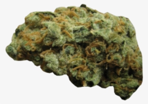 Beautiful Marijuana Leaf Transparent Background 18 - Pacote De Maconha Png #683736