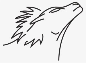 Lion Line Art Drawing Roar - Drawing #683765