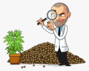 Grew In Popularity I Gathered Fellow Breeders To Bring - Cannabis Cultivation #683869