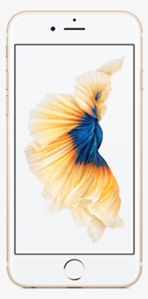 Iphone 6s 32gb Gold Iphone 6s 32gb Gold - Apple Iphone 6s Factory Unlocked 4g Lte Cdma/gsm #683895