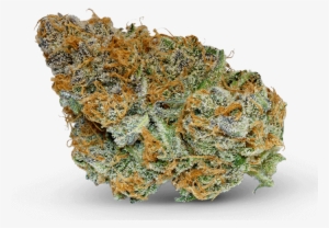 Jilly Bean - Haze #683945