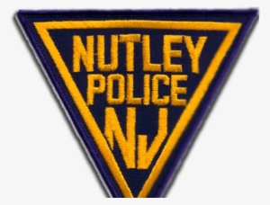 Terminator Wanna Be Cracks Neighbor's Windshield - Massachusetts State Police #684042