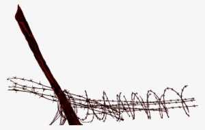 What Do You Think, Doc - Barbed Wire #685201