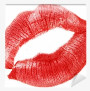 Lip #685205 Lip #685205