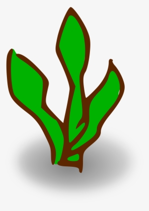 This Free Icons Png Design Of Kelp Forest #685228