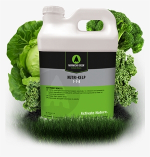 Nutri Kelp - Mirimichi Green Nutri-turf Liquid Foliar Fertilizer #685684