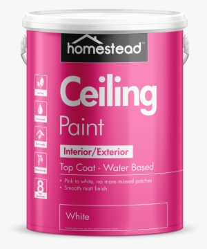 Ceiling Paint #685972