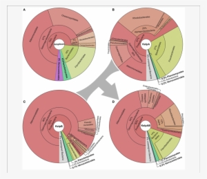 Taxonomic Composition Of The Kelp Biofilm Community - Bacteria #686471