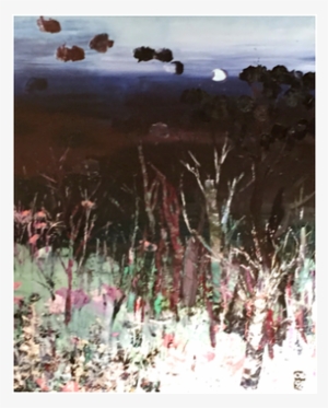 Sabal Palmetto #687194