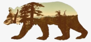 #tumblr - Bear Silhouette #687889