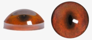 Fox Eyes Transparent Png - Portable Network Graphics #688217