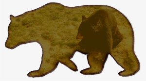 Visitors Can Experience Black Bears Up Close Without - Bear Stencils #688295