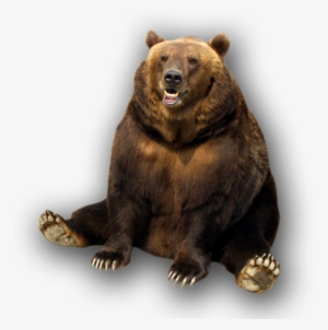 Bear Transparent Png File - Murder Grins And Bears It [book] #688422