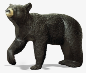 Large Black Bear - American Black Bear #688541