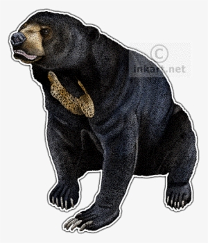 Sun Bear Decal - Malayan Sun Bear Png #688682