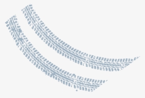 Instead, Positive Detection Of A Resistance Gene Indicates - Skid Mark #688966