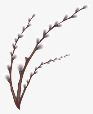 Willow Branch Clip Art #689085