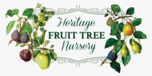Heritage Fruit Tree Nursery Logo #689538