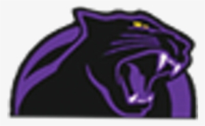 Elder Panthers #689566