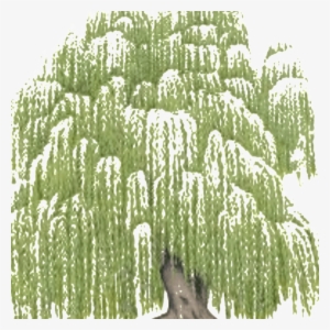 Willow Tree Acupuncture And Wellness - Willow Tree Acupuncture And Wellness, Llc #689863