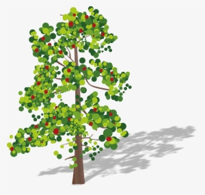 Tree, Fruits, Green, Red, Leaves, Apple Tree - Oxygen Carbon Dioxide Cycle Blank #689918