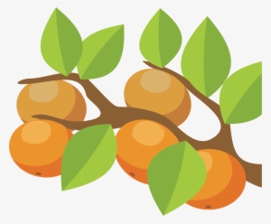 Orange Tree Png Transparent Orange Tree Png Image Free Download Pngkey